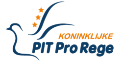 pit pro rege