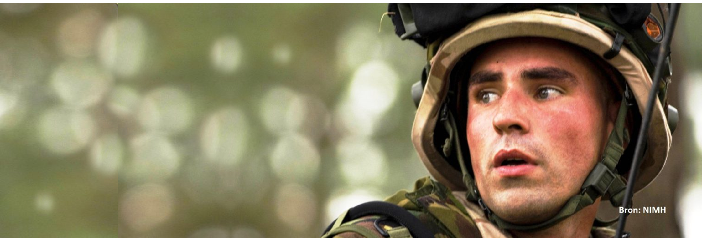 Militair-2.png
