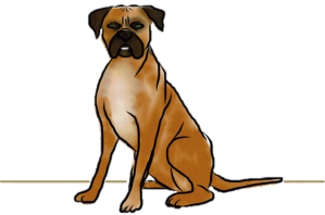 Sil snapt het niet - hond.png