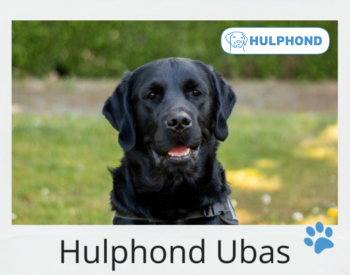 Hulphond Ubas