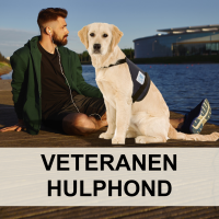 Veteranen hulphond