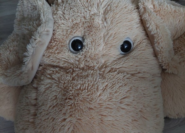 hond1.jpg