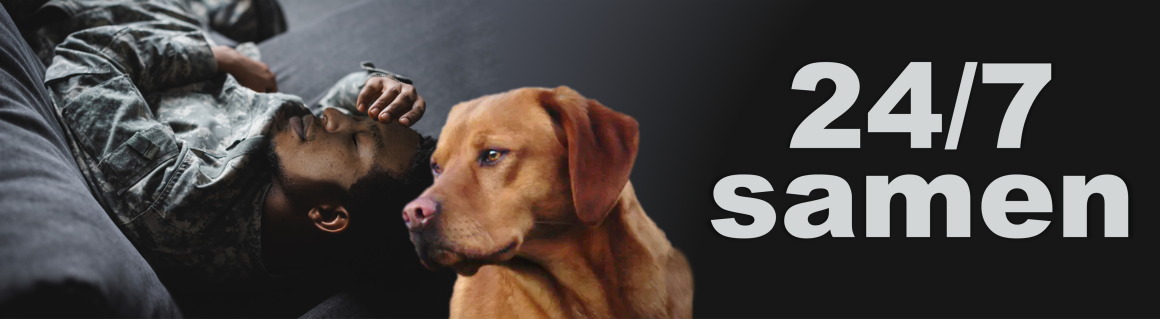 Veteranenhond