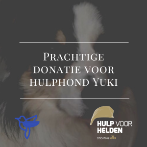 Donatie Yuki.png